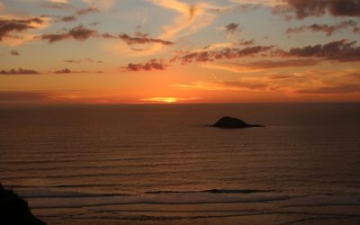 Ken Wilson Speech to Kahuinga Arataki May 2025 – Lamentation and Resignation